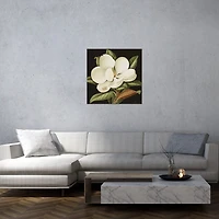 Magnolia Grandiflora Canvas Art Print