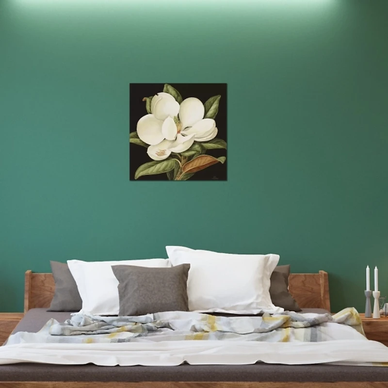 Magnolia Grandiflora Canvas Art Print