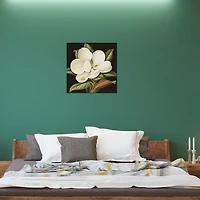 Magnolia Grandiflora Canvas Art Print