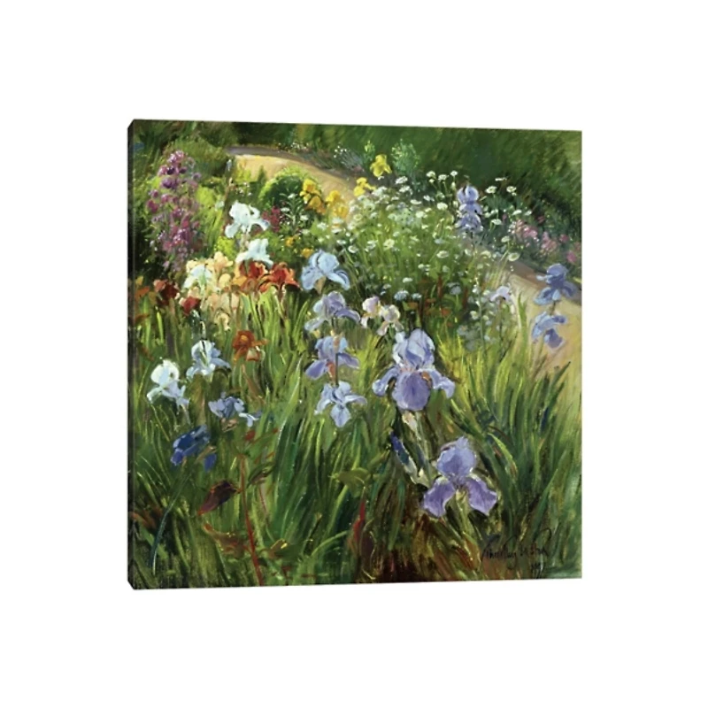 Irises and Oxeye Daisies Canvas Art Print