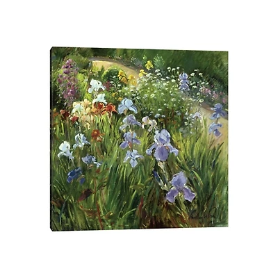 Irises and Oxeye Daisies Canvas Art Print
