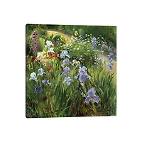 Irises and Oxeye Daisies Canvas Art Print