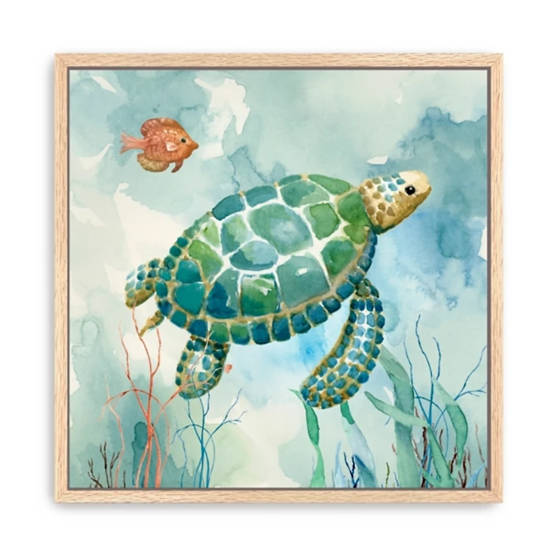 Coral Bay Sea Turtle Framed Canvas Art Print