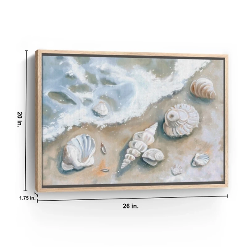 Seashells by the Seashore Framed Canvas Art Print