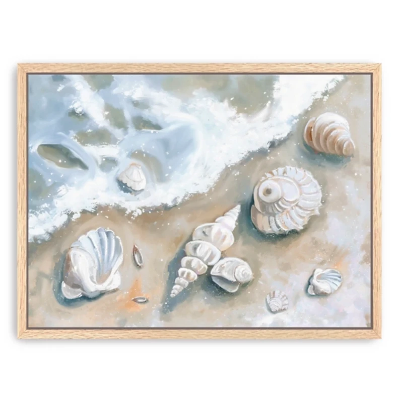 Seashells by the Seashore Framed Canvas Art Print