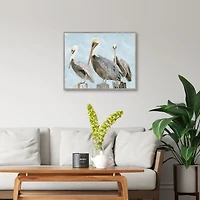 Brown Pelicans Framed Canvas Art Print