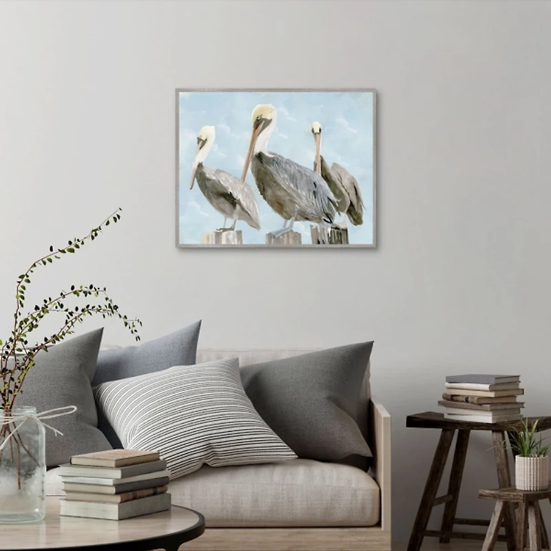 Brown Pelicans Framed Canvas Art Print