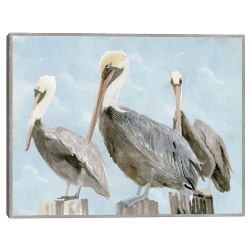 Brown Pelicans Framed Canvas Art Print