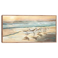 Sandpiper Dance Framed Canvas Art Print