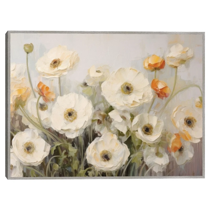 White Ranunculus Flowers Framed Canvas Art Print