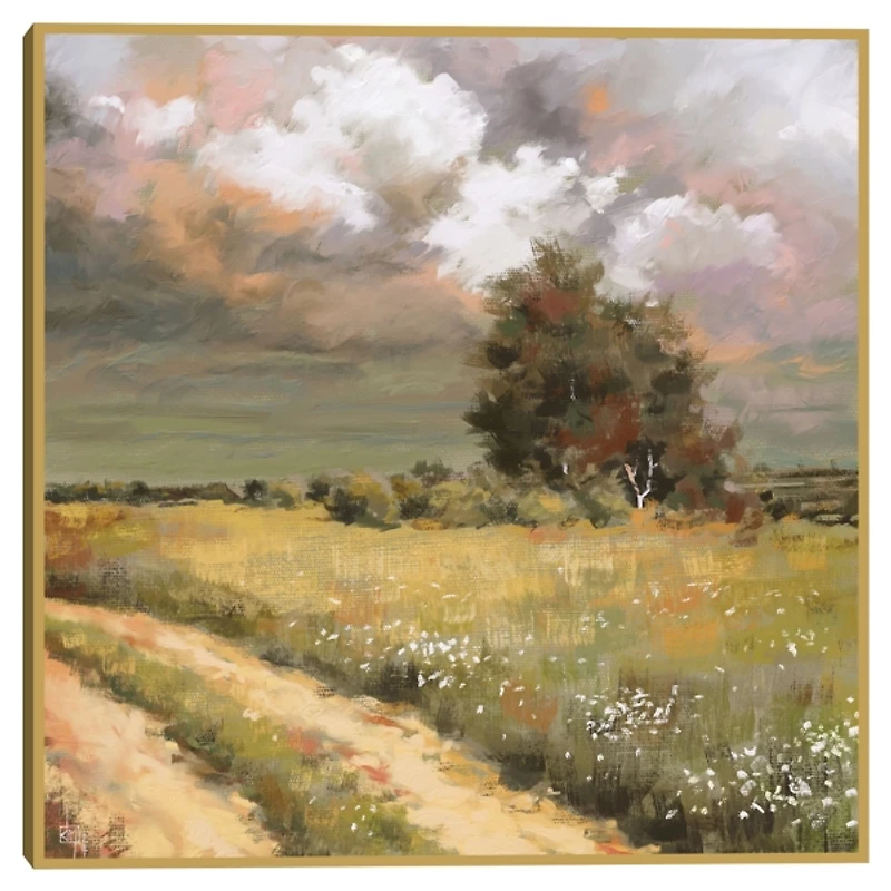 Paintbox Skies Framed Art Print