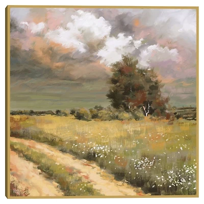 Paintbox Skies Framed Art Print