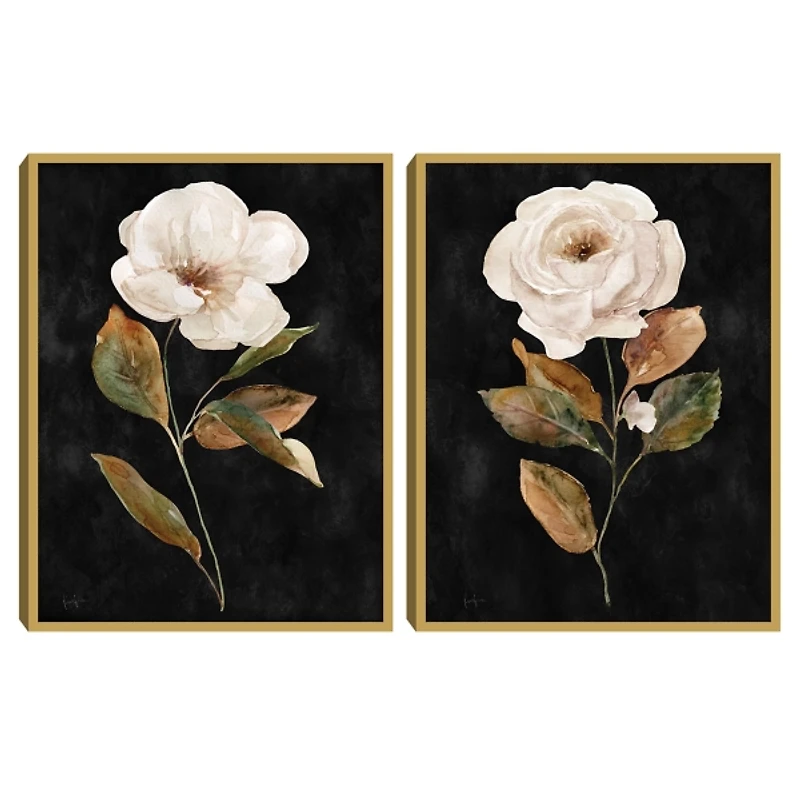 White Roses Framed Art Prints, Set of 2