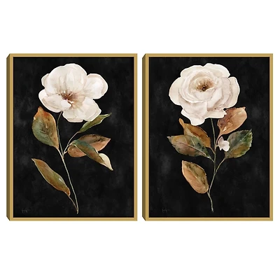 White Roses Framed Art Prints, Set of 2