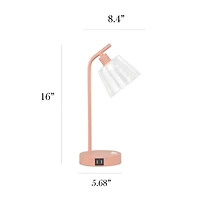 Metal Charging Task Lamp with Glass Shade