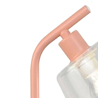 Metal Charging Task Lamp with Glass Shade