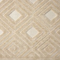 Beige Atlas Area Rug