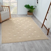 Beige Atlas Area Rug