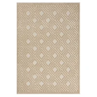 Beige Atlas Area Rug