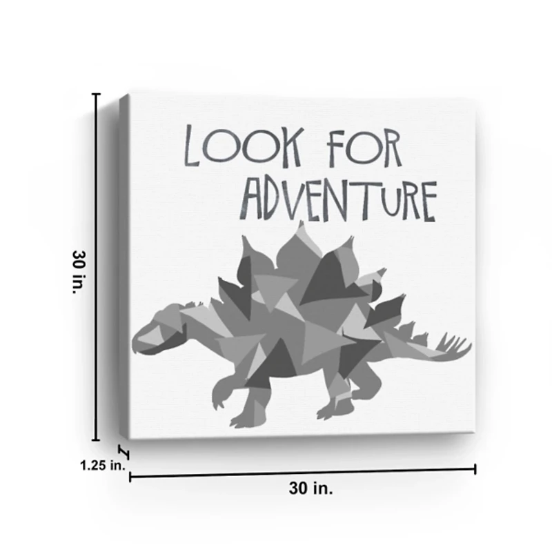 Look For Adventure Canvas Art Print, 30x30