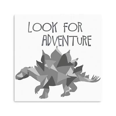Look For Adventure Canvas Art Print, 30x30
