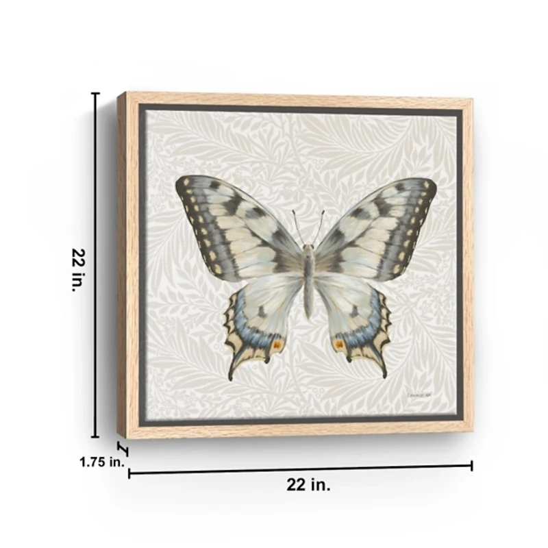 Botanical Butterfly I Framed Canvas Art Print