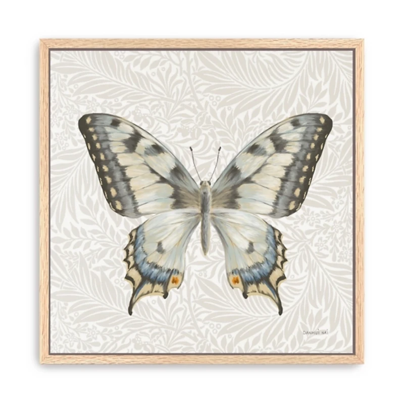 Botanical Butterfly I Framed Canvas Art Print