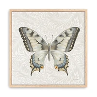 Botanical Butterfly I Framed Canvas Art Print