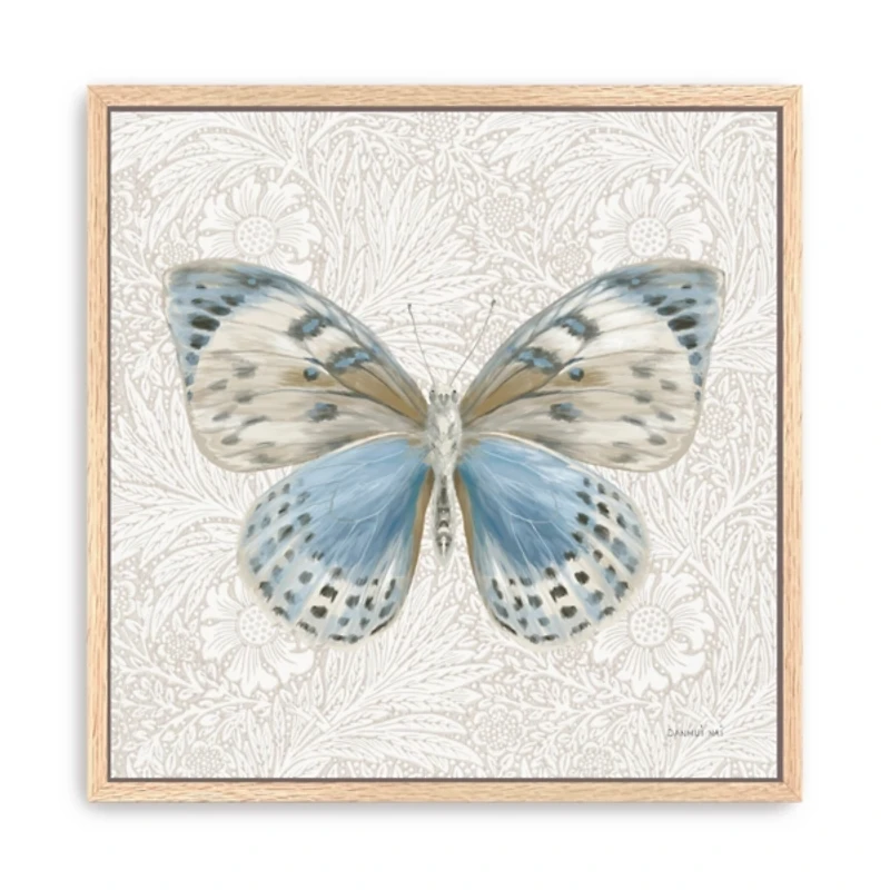 Botanical Butterfly II Framed Canvas Art Print