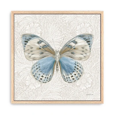 Botanical Butterfly II Framed Canvas Art Print
