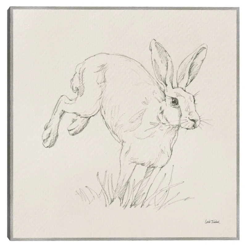 Graceful Rabbit Kids Framed Canvas Art Print