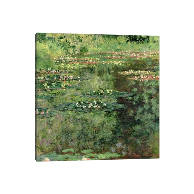 The Waterlily Pond Canvas Art Print