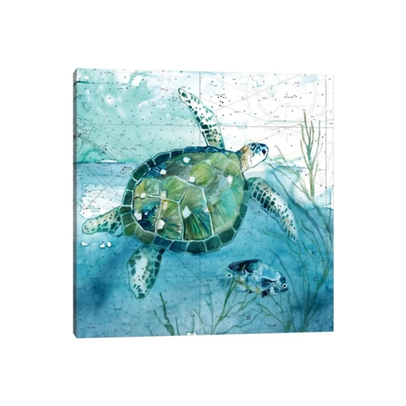 Island Swim Canvas Art Print