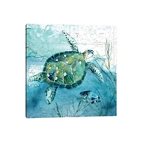 Island Swim Canvas Art Print