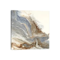 Neutral Forthcoming Canvas Art Print