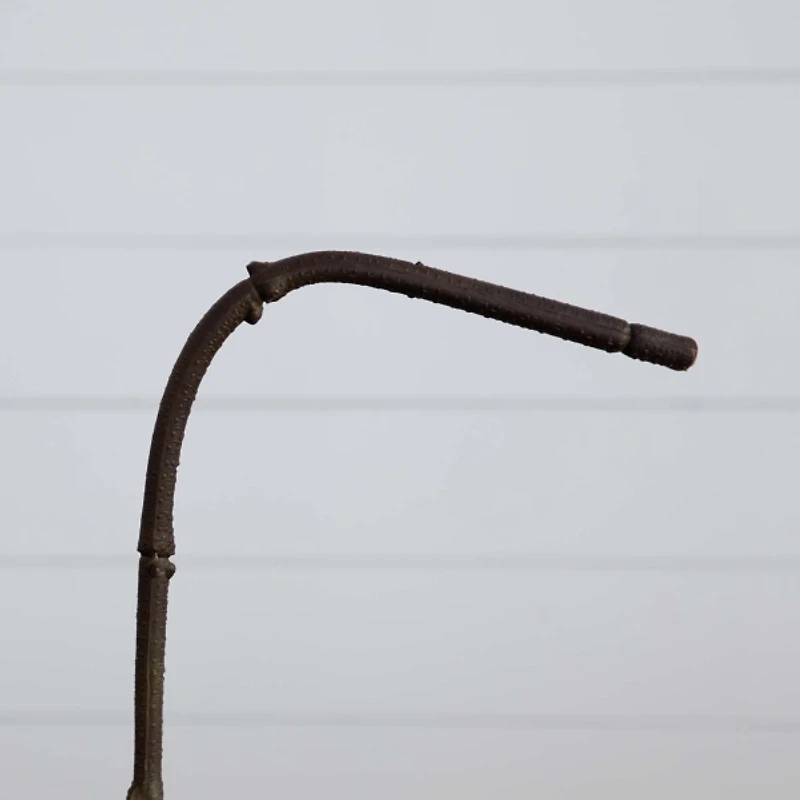 Hydrangea Flower Stems