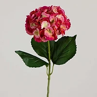 Hydrangea Flower Stems