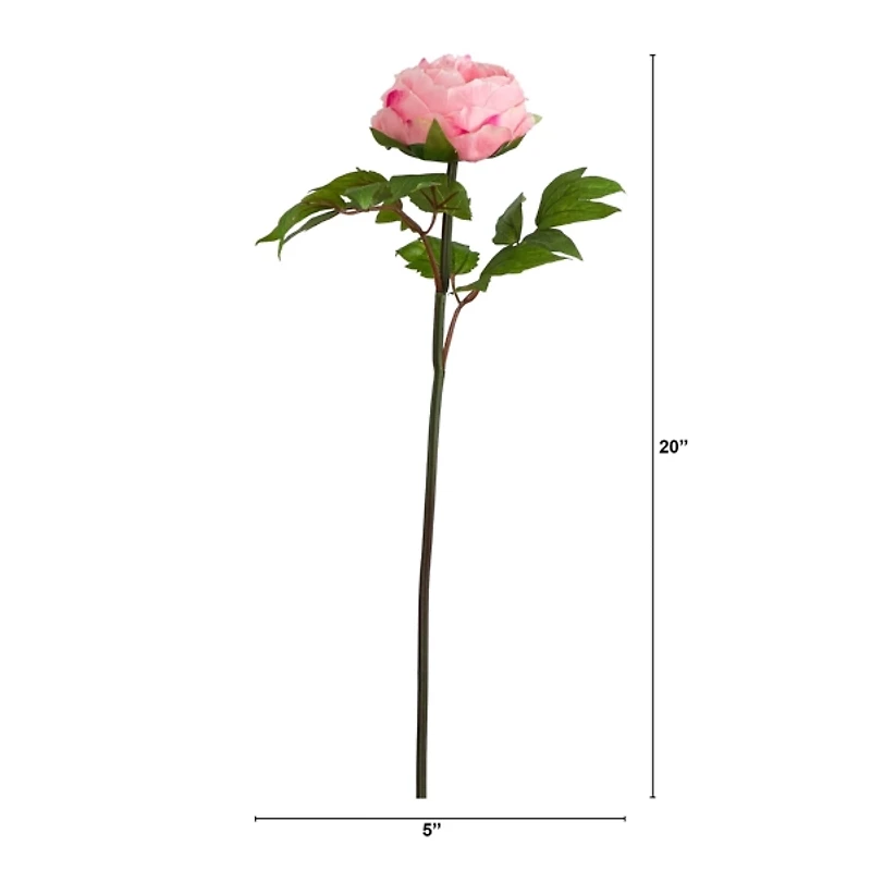 Pink Peony Flower Stems, Set of 3