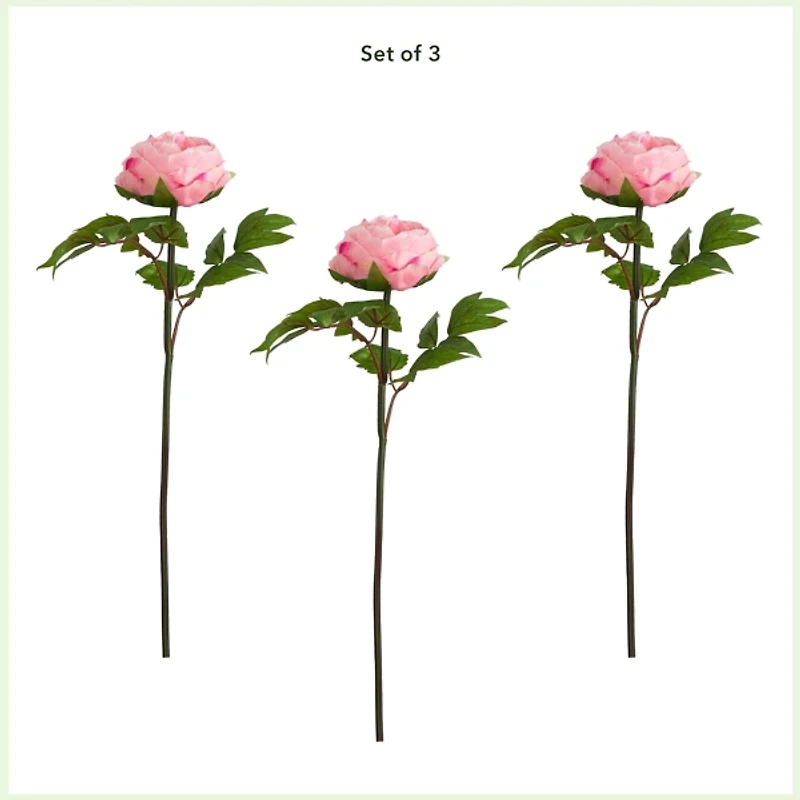 Pink Peony Flower Stems, Set of 3
