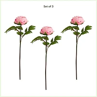 Pink Peony Flower Stems, Set of 3