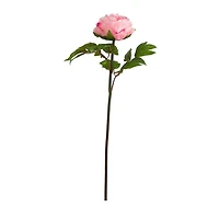 Pink Peony Flower Stems, Set of 3