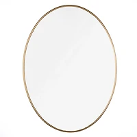 Oval Antique Brass Nouveau Linear Mirror