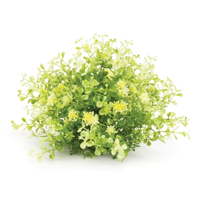 Leaf Foliage Orbs, Set of 2