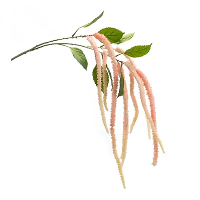 Pink Amaranthus Stems, Set of 4