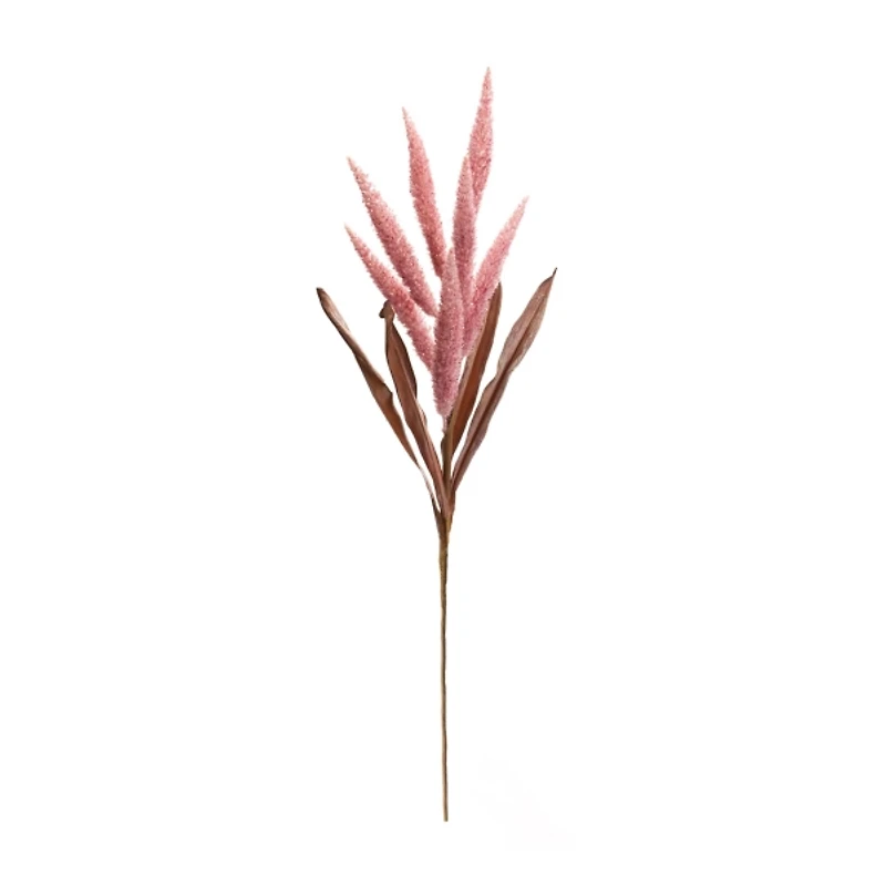 Pink Foxtail Plume Stems, Set of 2