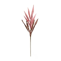 Pink Foxtail Plume Stems, Set of 2