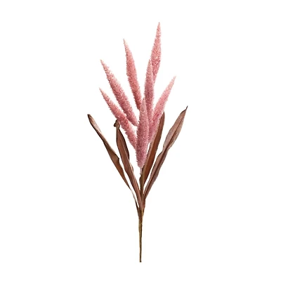 Pink Foxtail Plume Stems, Set of 2