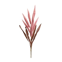 Pink Foxtail Plume Stems, Set of 2