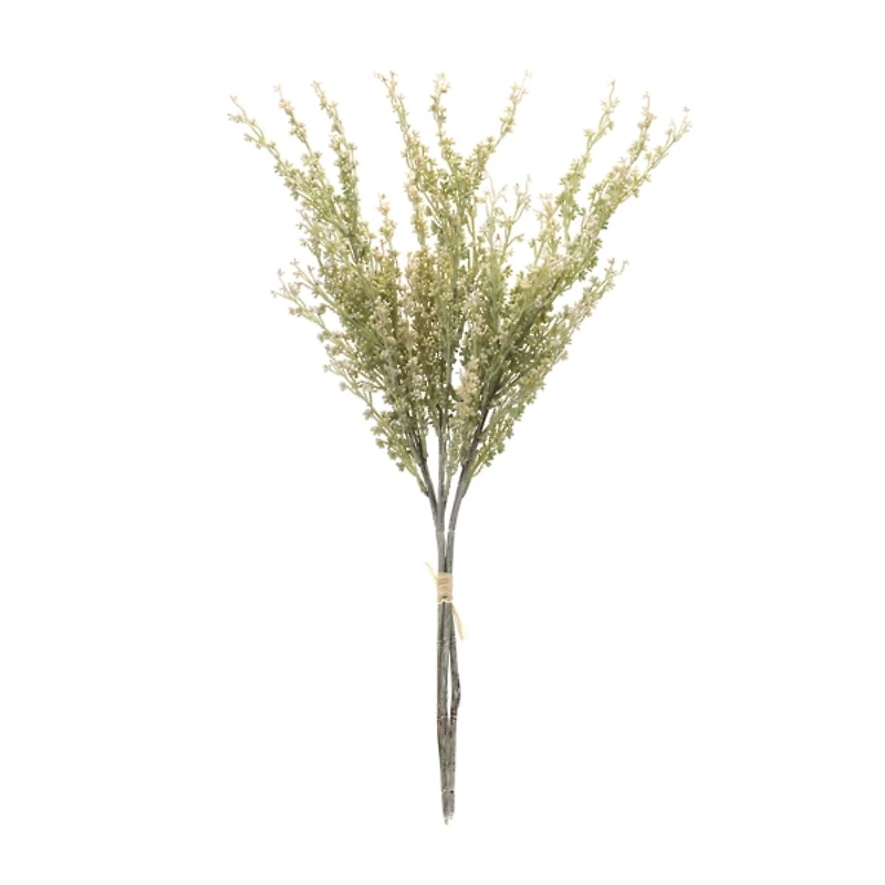 Mini Seed Pod Bundles, Set of 2