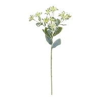 White Euphorbia Floral Stems, Set of 6